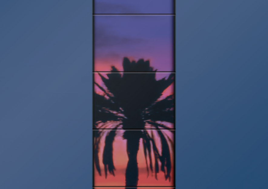 Diseño Palm beach